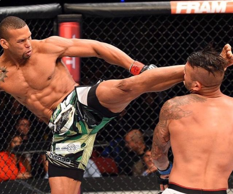Fighter Blog